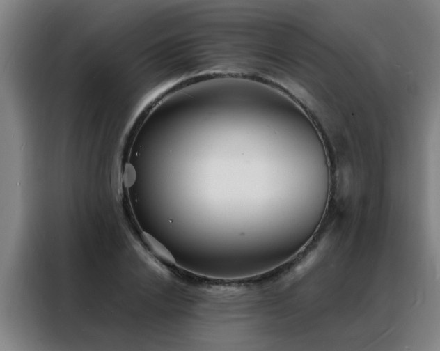 X0000088130838200705211114