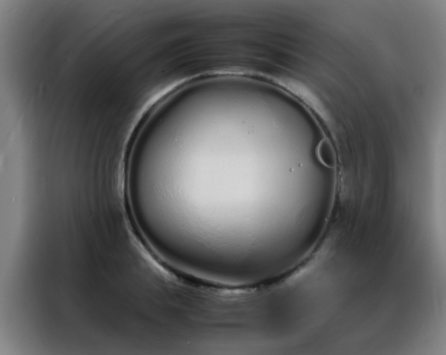 X0000088130839200705211114