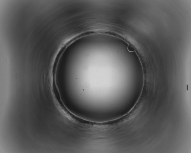 X0000088130840200705211114