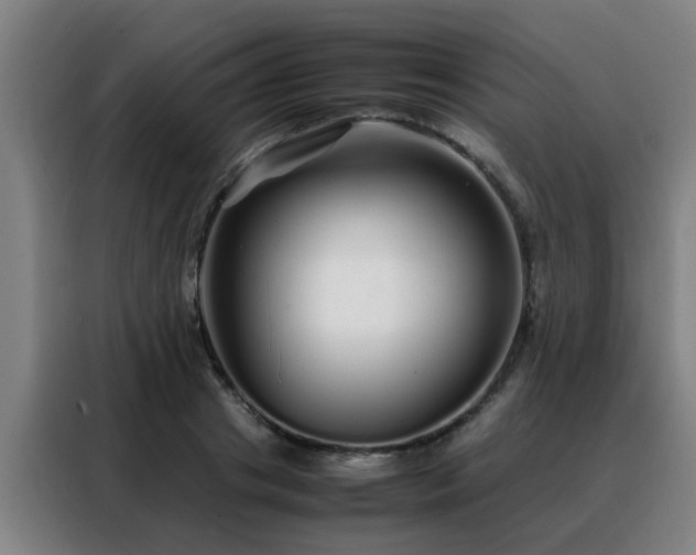 X0000088130841200705211114