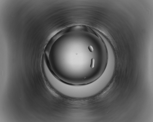 X0000088130842200705211114