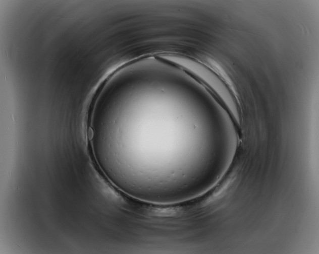 X0000088130843200705211114