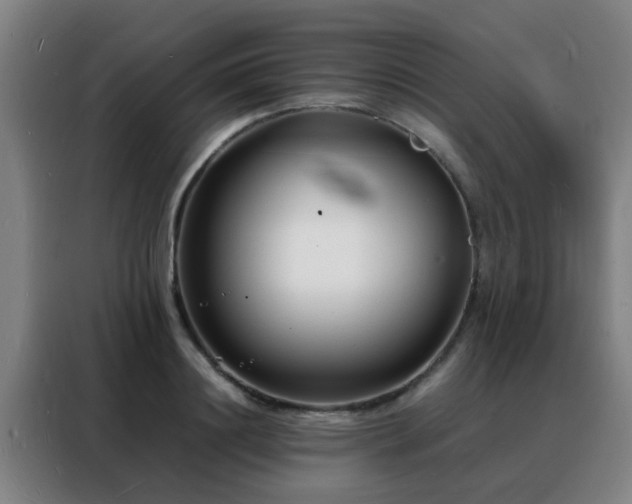 X0000088130844200705211114