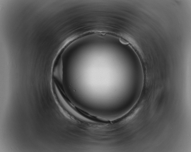 X0000088130845200705211114