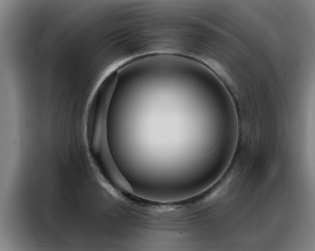 X0000088130846200705211114