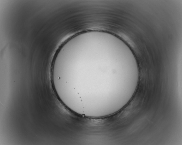 X0000088130848200705211114