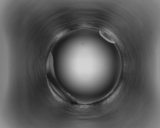 X0000088130849200705211114