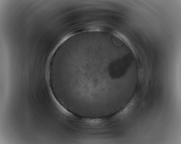 X0000088130851200705211114