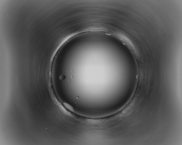 X0000088130852200705211114