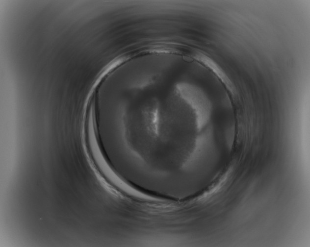 X0000088130853200705211114