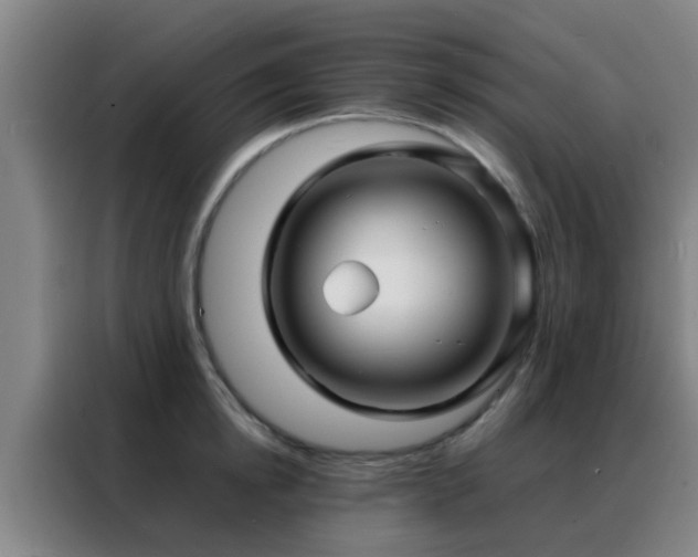 X0000088130854200705211114