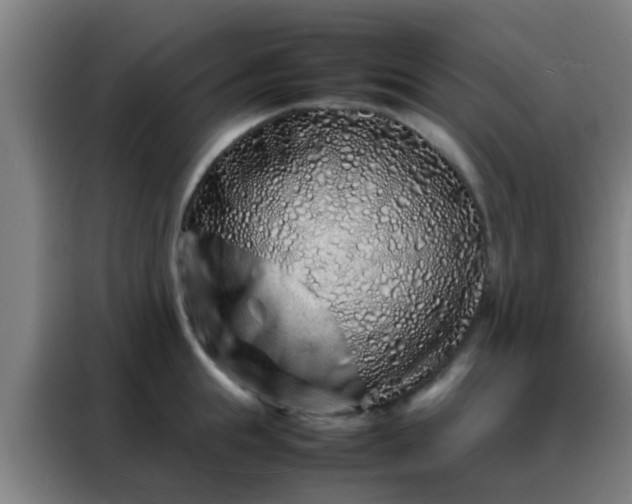 X0000088130855200705211114