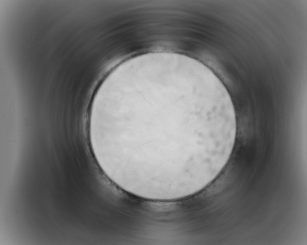 X0000088130856200705211114