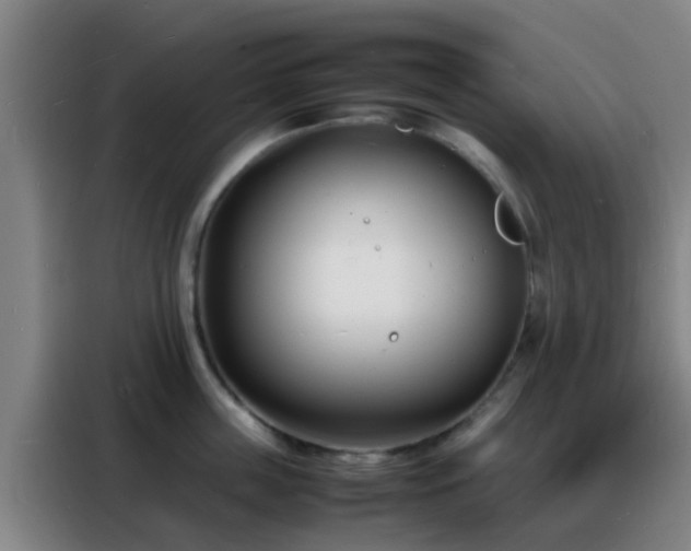 X0000088130859200705211114