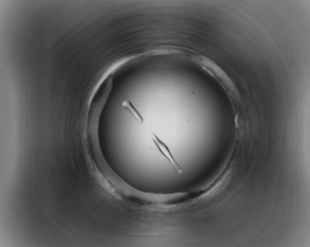 X0000088130860200705211114