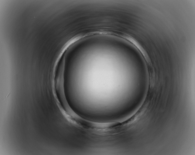 X0000088130861200705211114