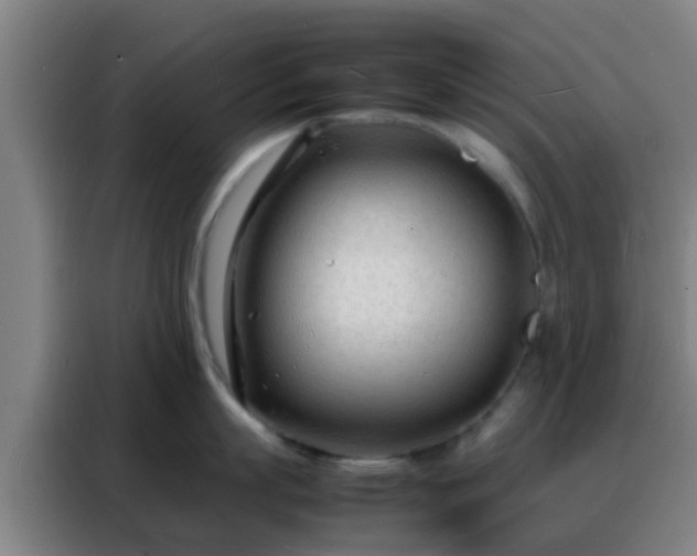 X0000088130863200705211114