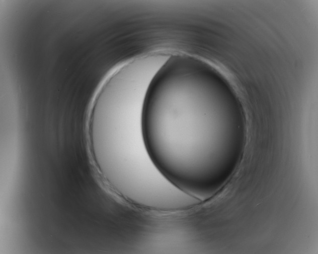 X0000088130864200705211114