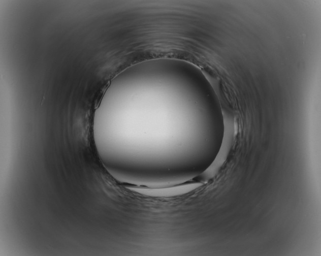 X0000088130868200705211114