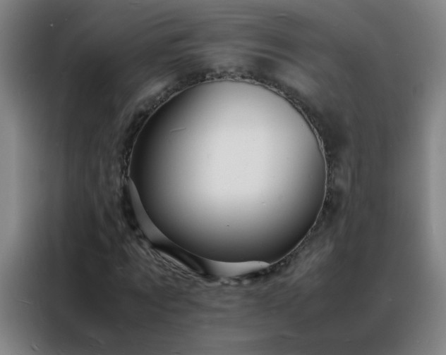 X0000088130869200705211114