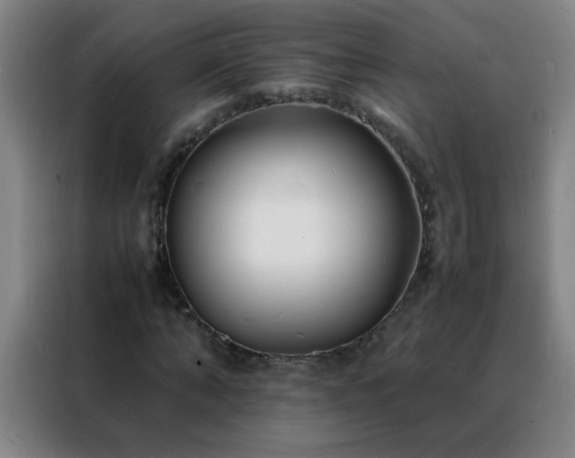 X0000088130870200705211114