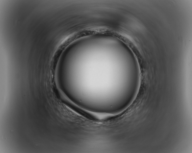 X0000088130871200705211114