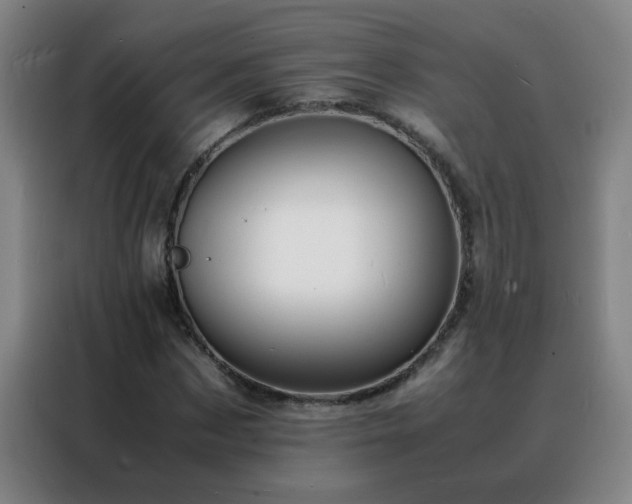 X0000088130873200705211113