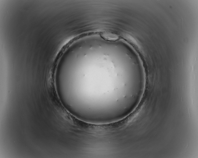 X0000088130875200705211113