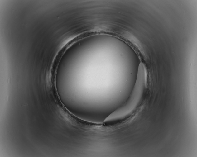 X0000088130876200705211113