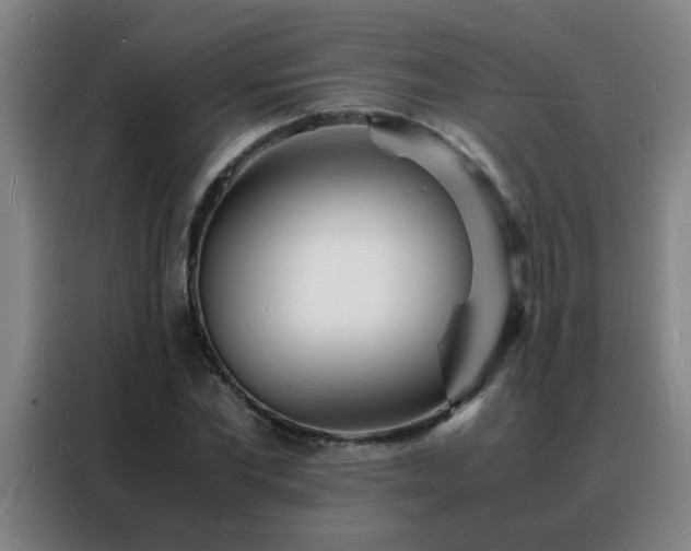 X0000088130877200705211113