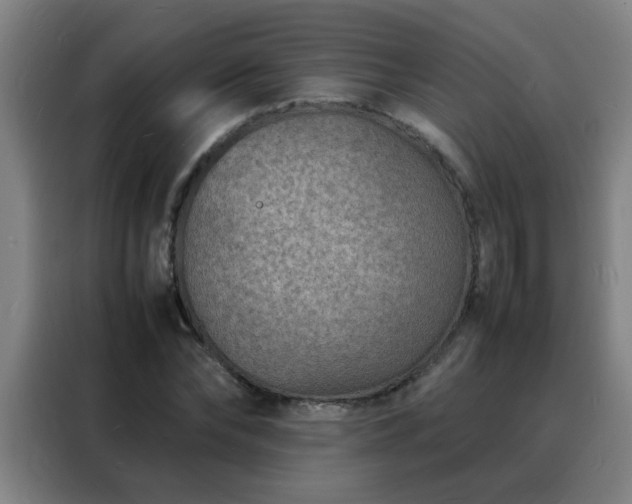 X0000088130878200705211113