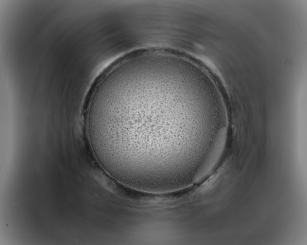 X0000088130879200705211113