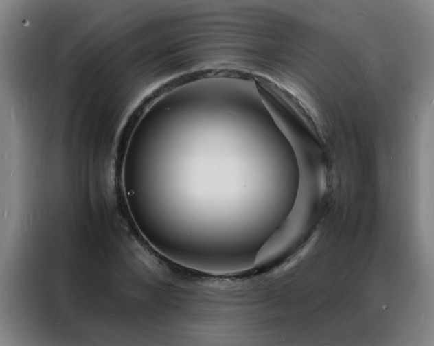 X0000088130880200705211113