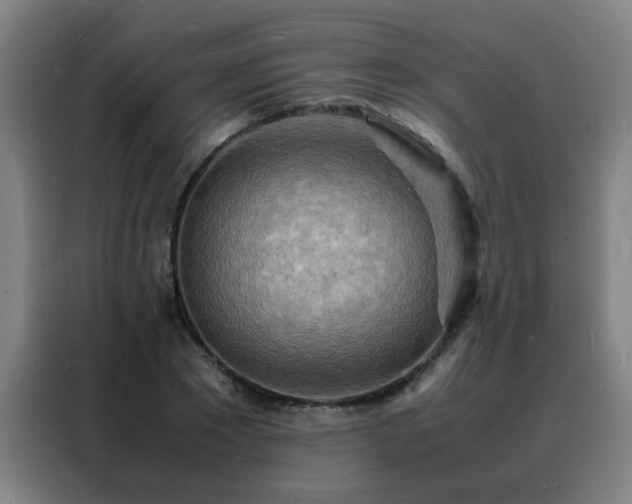 X0000088130881200705211113