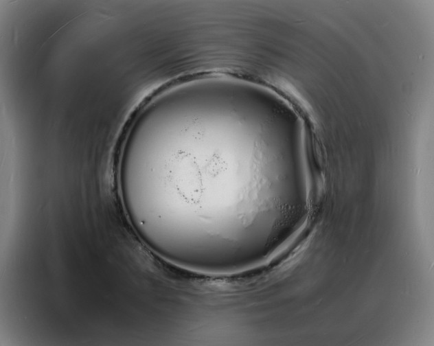 X0000088130883200705211113