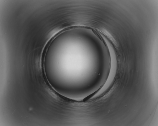 X0000088130884200705211113