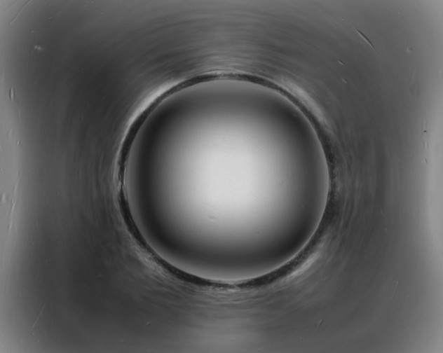 X0000088130885200705211113