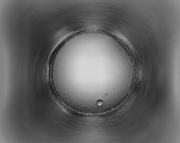 X0000088130886200705211113