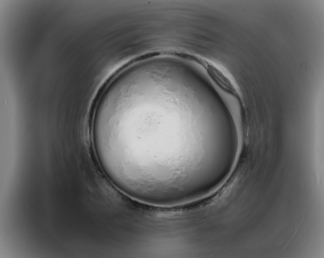 X0000088130887200705211113