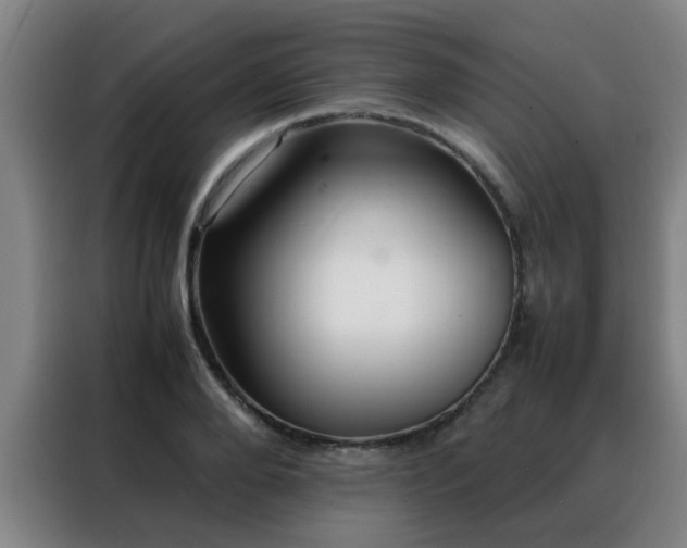 X0000088130888200705211113