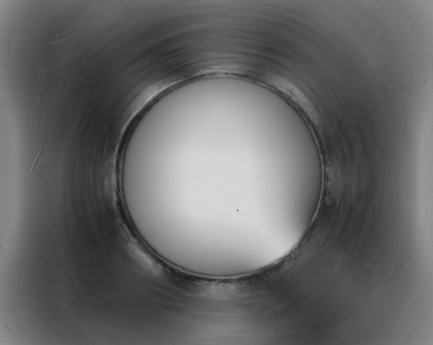 X0000088130890200705211113