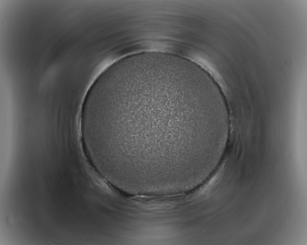 X0000088130891200705211113