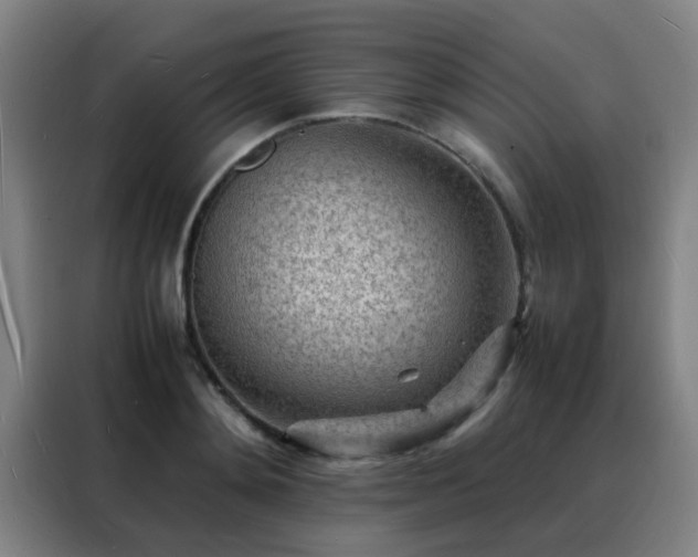 X0000088130892200705211113