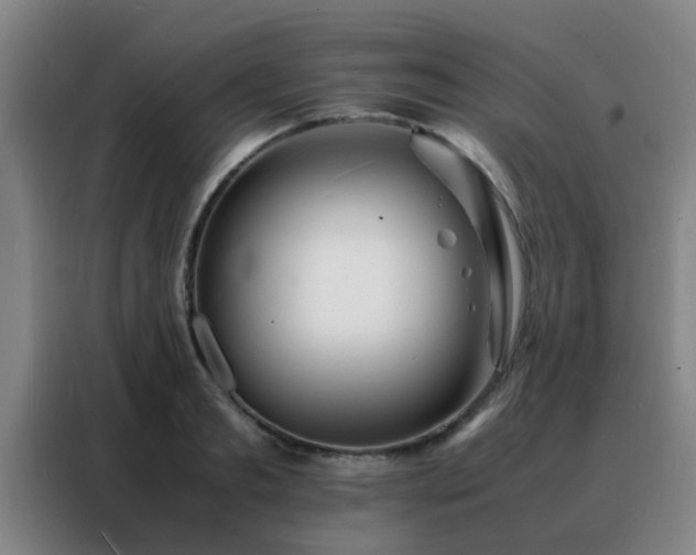 X0000088130893200705211113