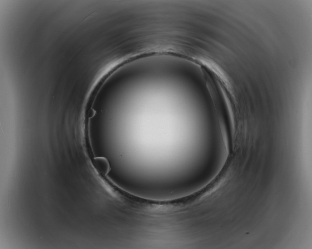 X0000088130894200705211113