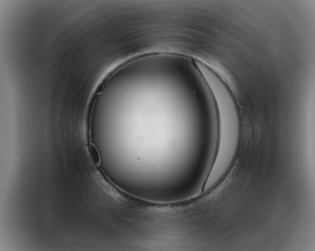 X0000088130896200705211113