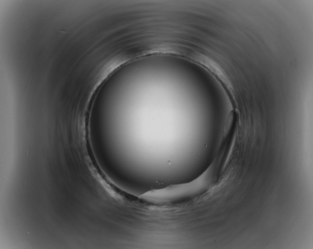 X0000088130898200705211113