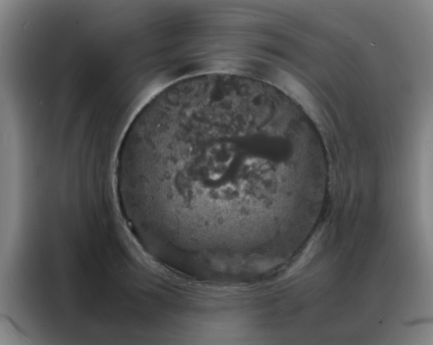 X0000088130899200705211113