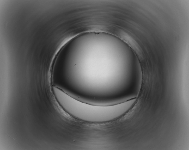 X0000088130900200705211113