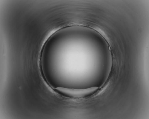 X0000088130901200705211113